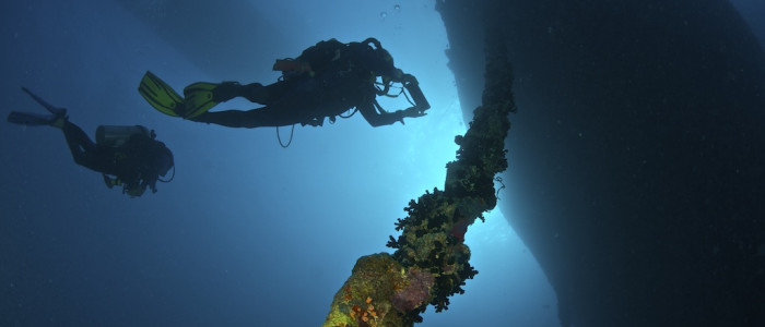 Featured image for Diving on HMS Manchester