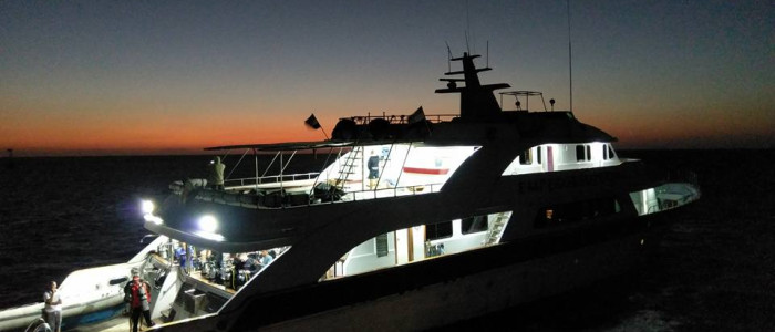 Featured image for CSAC Goes to the Red Sea!